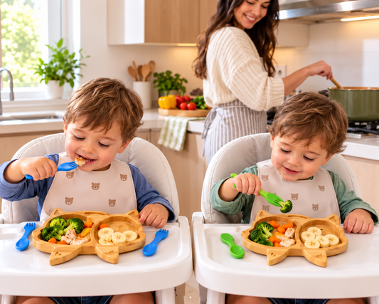 Owl Bamboo Divided Plate for Kids